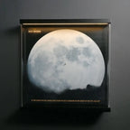 [pre-sale]LEGO Display Case for 1989 Batwing (76161)