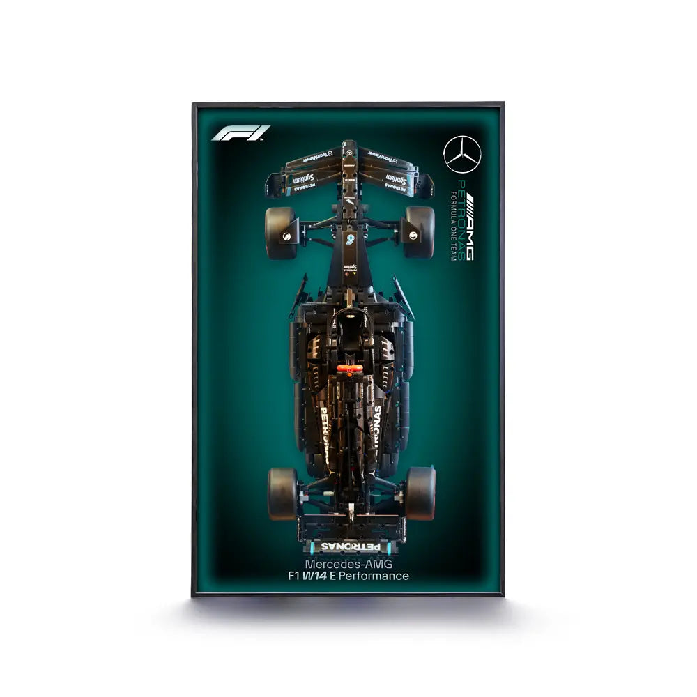 LEGO™ Frame for Mercedes-AMG F1 W14 E Performance(42171)