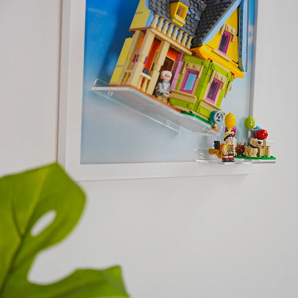 Display Frame for ‘Up’ House (43217)