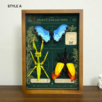 Wall Mountable Display Case for LEGO® Ideas The Insect Collection (21342)