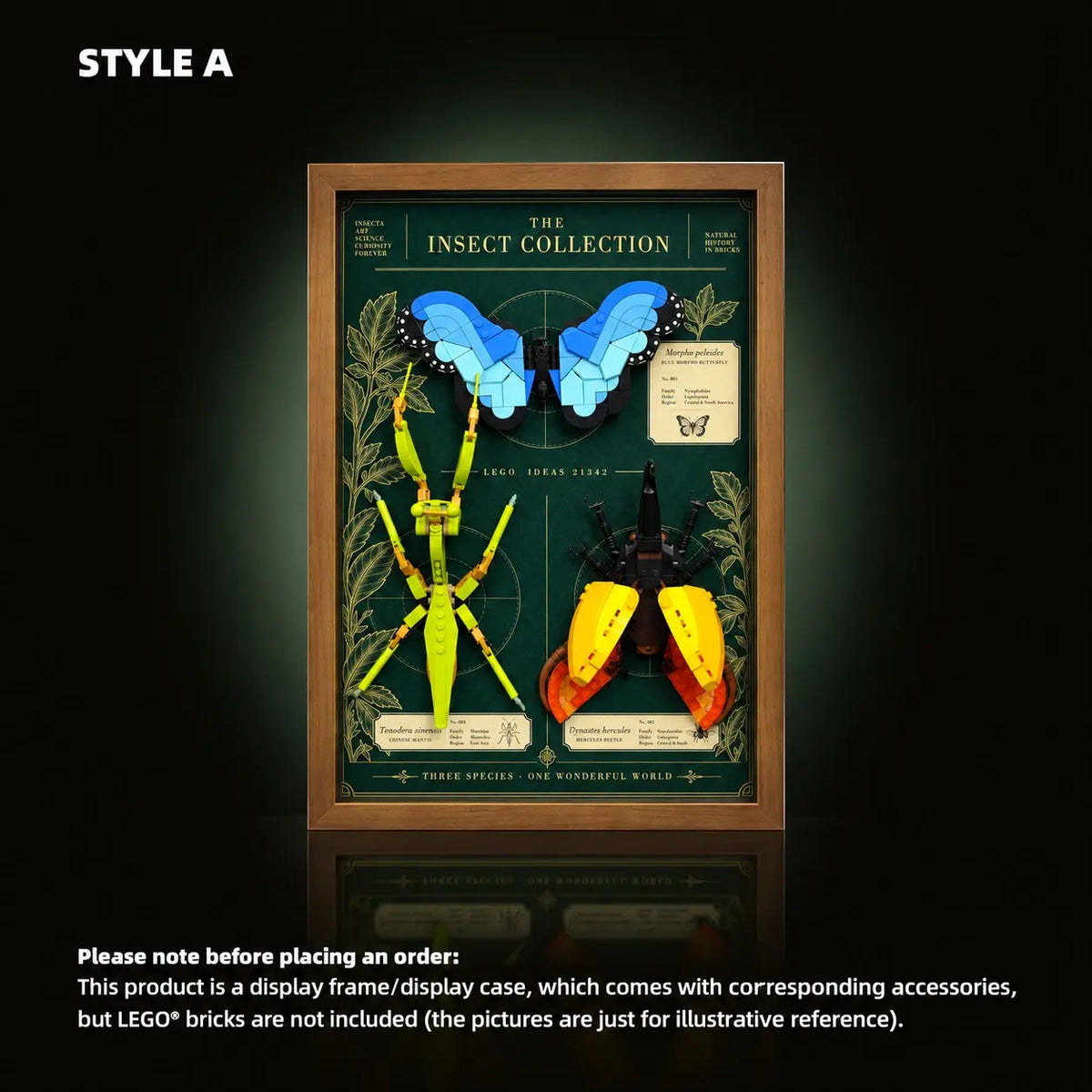 Wall Mountable Display Case for LEGO® Ideas The Insect Collection (21342)